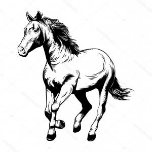 300x300 Royalty Free Stock Photos Running White Horse Vector Drawing Image