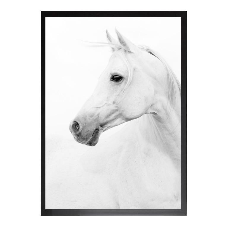765x765 White Horse Print Nordik Space