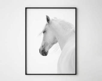 340x270 White Horse Etsy