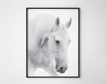340x270 White Horse Print Etsy