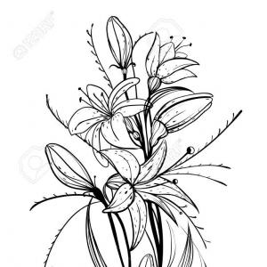 300x300 Isolated Elegant White Lily Flowers Stem Lazttweet