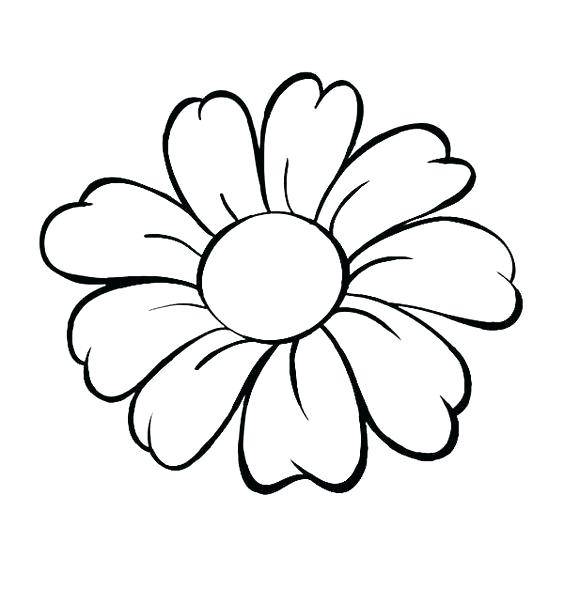 564x589 Flower Drawing Outline Simple Flower Drawings Basic Outline