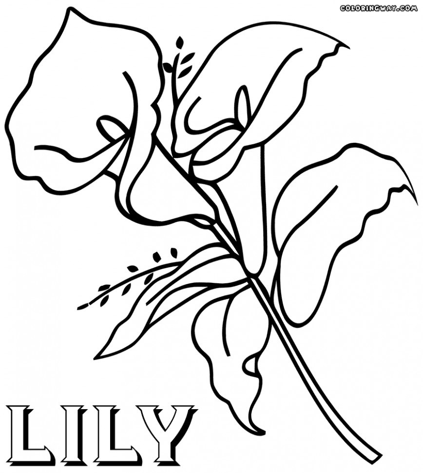 868x970 Lily Flower Coloring Pages
