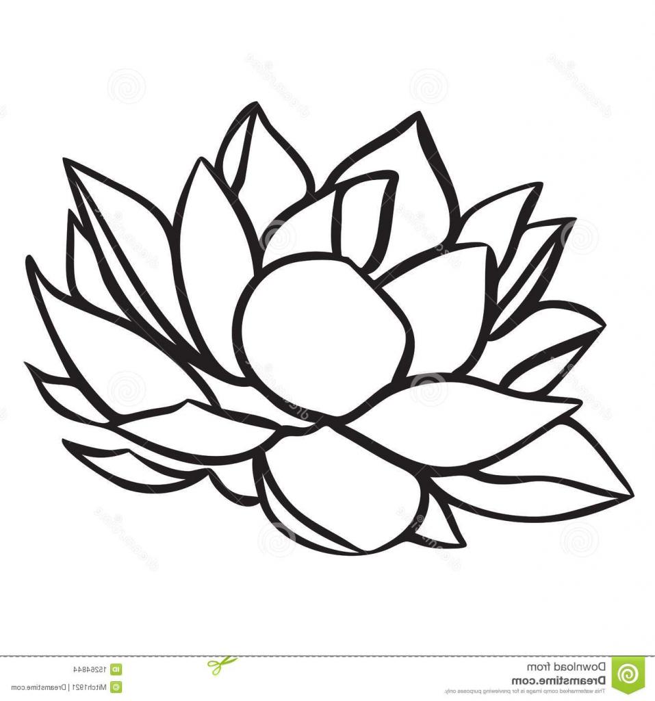 957x1024 Drawings Flower Lotus Simple Drawing Group