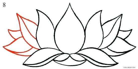 550x277 Drawings Of Lotus Flowers How To Draw Lotus Flower Step Draw
