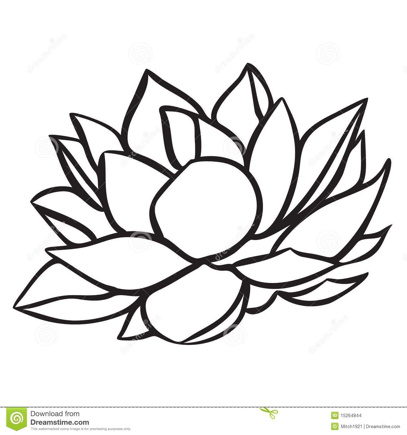 1300x1390 Lotus Drawing Black And White