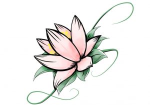300x210 Lotus Flower Drawings Free Black And White Lotus Flower Royalty