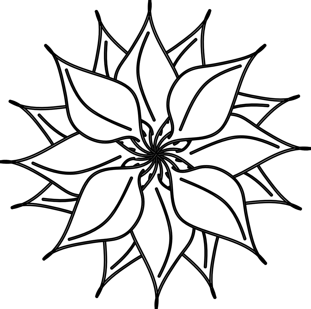1007x1000 Temporary Flower Black And White Flower Black And White Lotus
