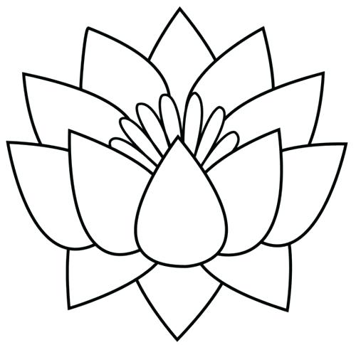 500x485 Best Of Lotus Flower Black And White Or Simple Line Lotus Flower