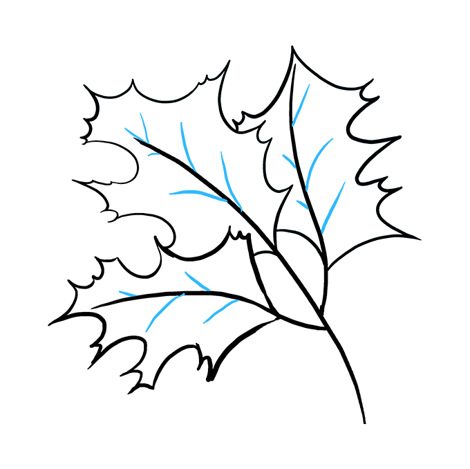 680x678 How To Draw Fall Oak Leaves