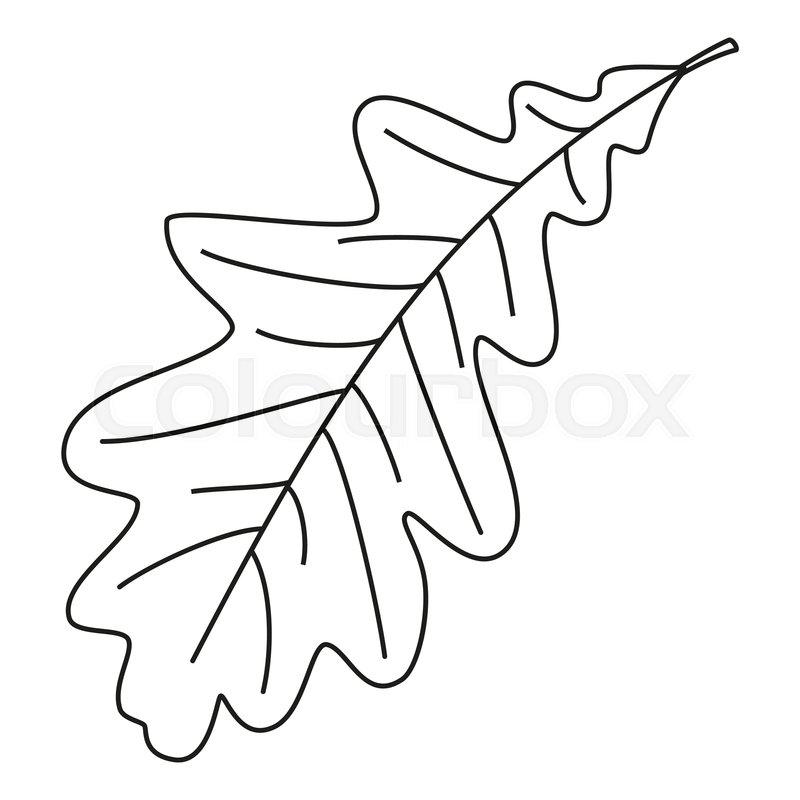 800x800 Line Art Black And White Single Oak Stock Vector Colourbox