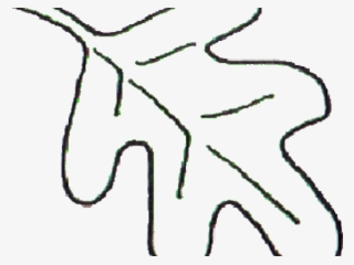 320x240 oak leaf png, transparent oak leaf png image free download