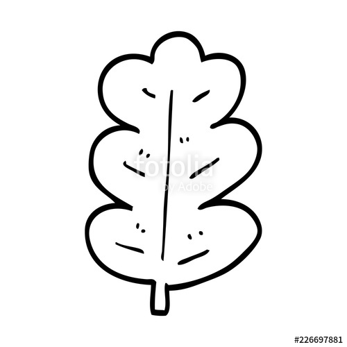 500x500 Line Drawing Cartoon Oak Leaf Stock Image And Royalty Free Vector