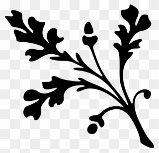 320x308 download white oak leaf outline clipart white oak leaf