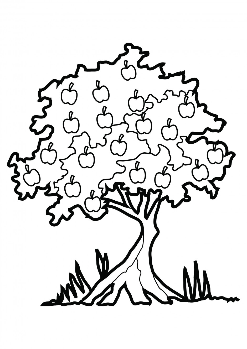 White Oak Tree Drawing