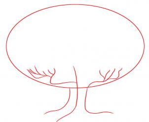 302x249 How To Draw How To Draw An Oak Tree