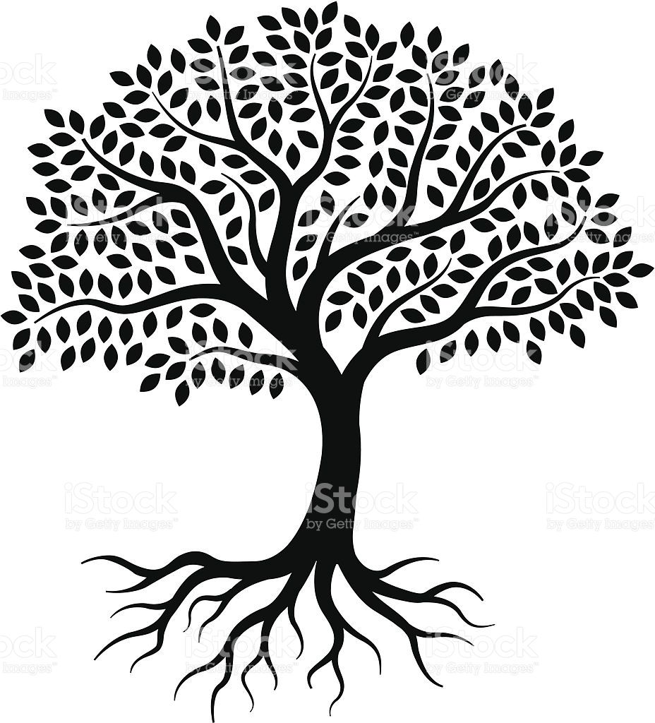 928x1024 Oak Little Tree Transparent Png Clipart Free Download