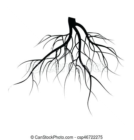 450x470 Tree Drawing With Roots The Tree Drawing Test Measurement