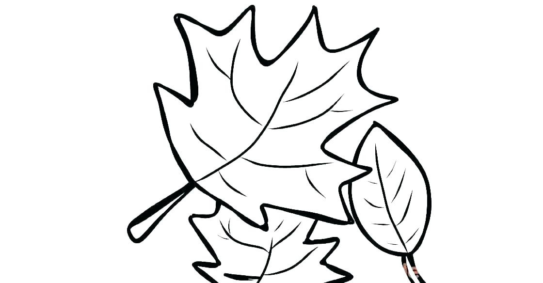 1120x584 White Oak Tree Coloring Page