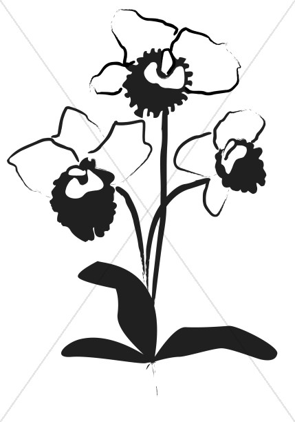429x612 Orchid Decoration In Black Ink Church Flower Clipart