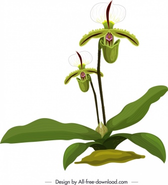 335x368 Orchid Free Vector Download