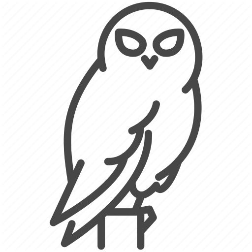 512x512 Collection Snowy Owl Outline Pictures