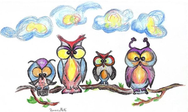 600x359 White Owl Drawings Fine Art America