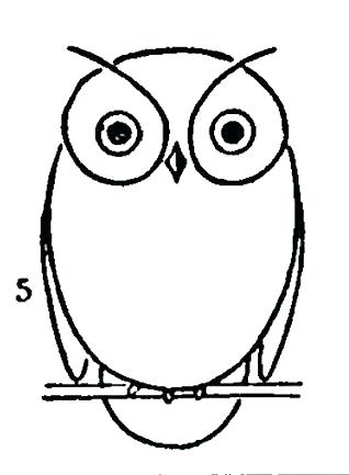 318x433 Owl Simple Drawing Nip