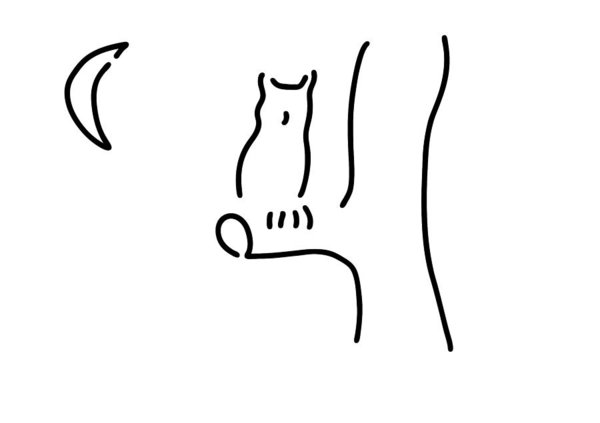 600x423 Black And White Owl Drawings Fine Art America