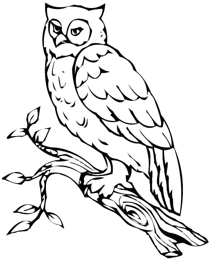 736x908 Black And White Owl Printable Digitalmooselounge Us