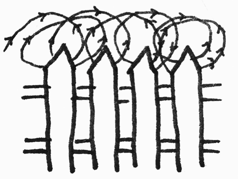 959x720 Kinhost Dot Org Barbed Wire Or White Picket Fence