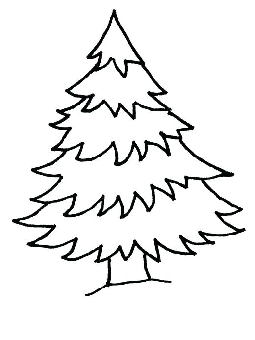 520x693 Free Pine Tree Outline Download Free Clip Art Free Clip Art