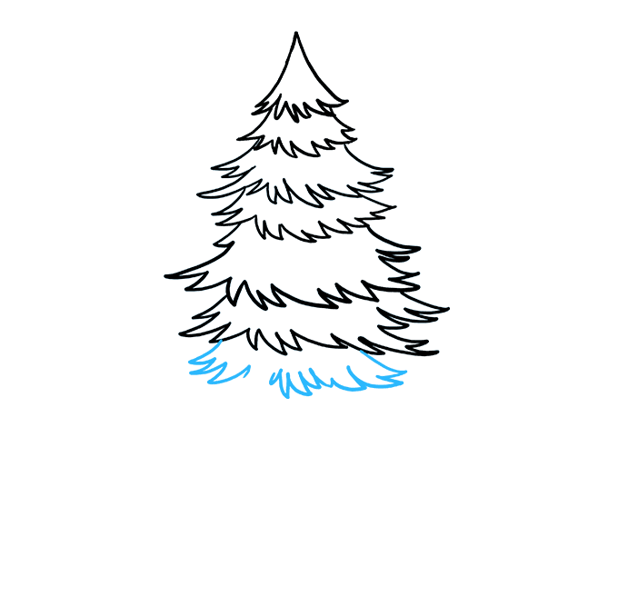 680x678 How To Draw A Spruce Tree