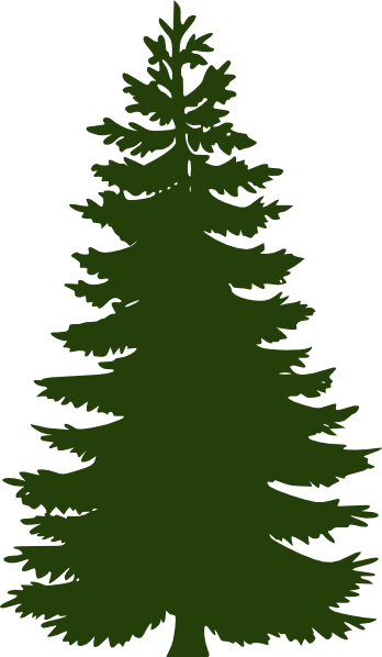 348x598 Collection Of Free Leaf Drawing Pine Tree Download On Ui Ex