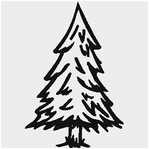 300x300 Pine Tree Clipart Black And White Admirably Fir Tree Clipart