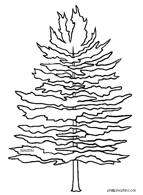 477x648 Pix For Gt Clip Art Pine Trees Black And White Clip Art Tree
