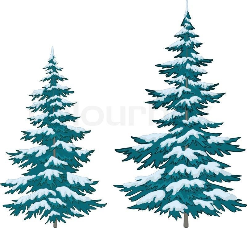800x739 Drawn Snow Pine Tree Drawing
