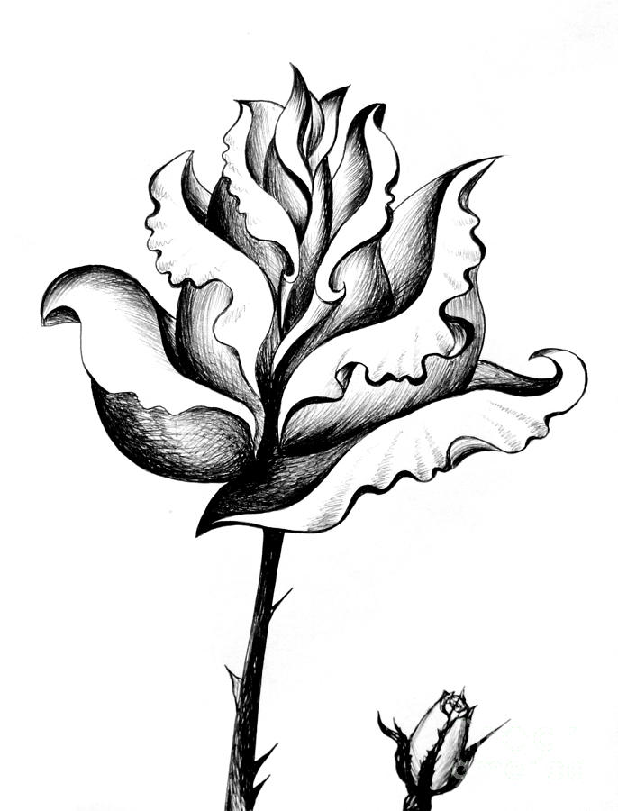 686x900 Black White Rose Pencil Art Drawing