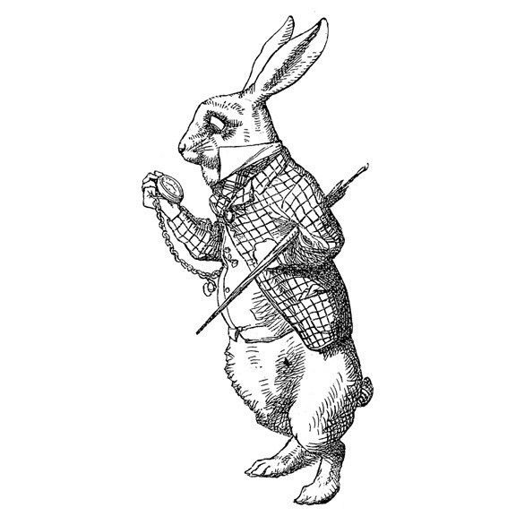 576x576 White Rabbit My Blog Alice In Wonderland Rabbit, Rabbit