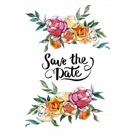 275x275 White Rose Drawing Photos And Images