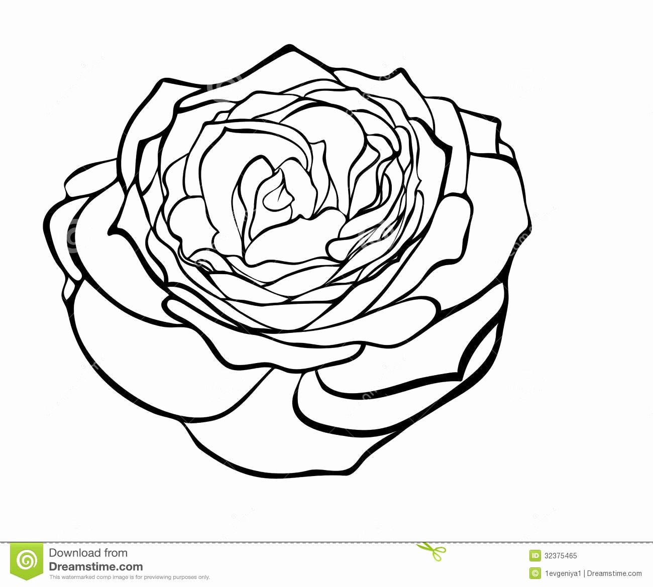 1300x1169 White Rose Sketch New Image Result For Black And White Rose