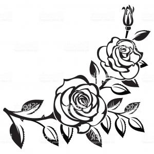 300x300 Black Branch Of Roses Drawing On White Background Gm Soidergi