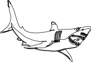 300x203 Great White Shark Coloring Pages Inspirational Collection Shark