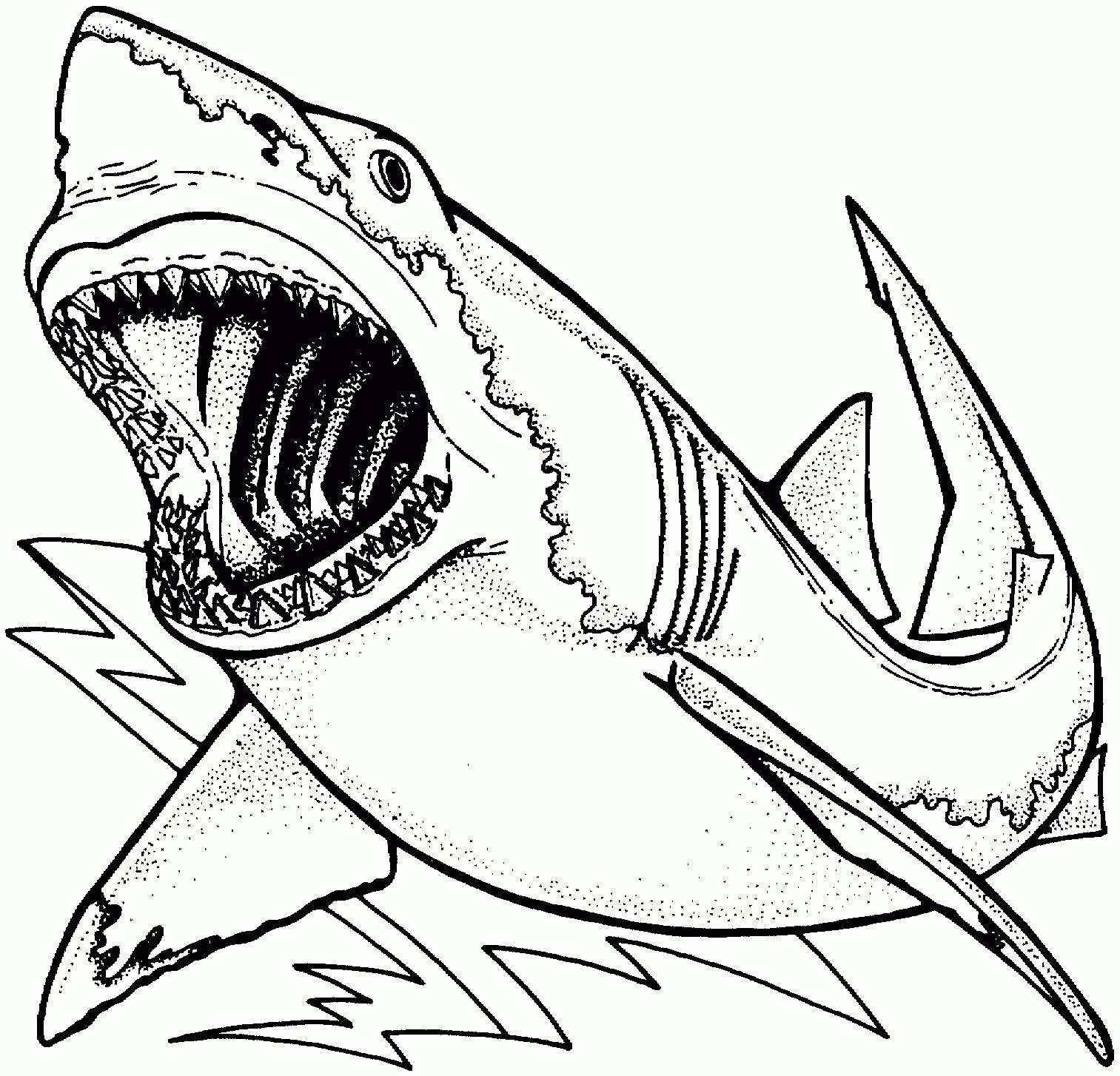 1513x1454 How To Draw Sharks Fresh Great White Shark Coloring Pages Awesome