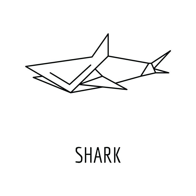 800x800 Outline Of A Shark Outline Shark Drawing