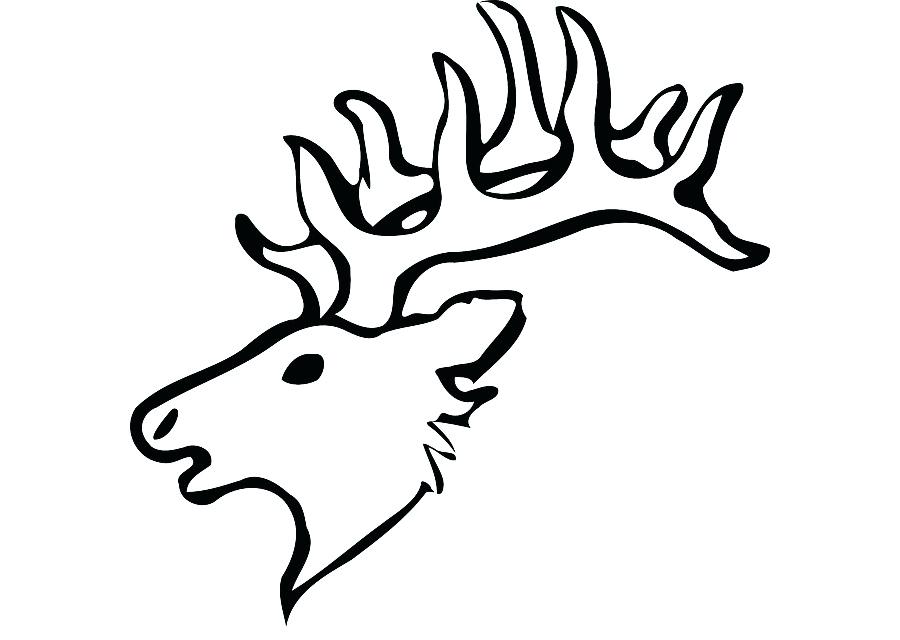 900x640 Drawing Of Reindeer White Tailed Deer Drawing Reindeer Clip Art