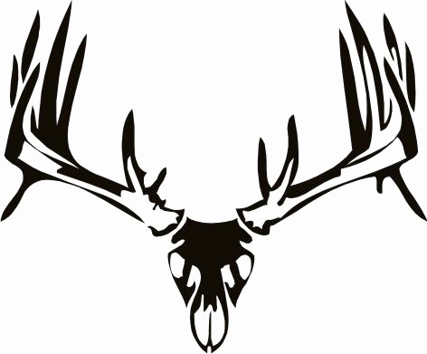 472x391 Fresh Of Whitetail Deer Antlers Clipart
