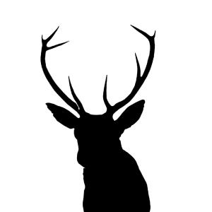 300x300 Png White Tailed Deer Clip Art Vector Graphics Drawing Sohadacouri