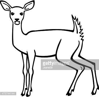 421x410 White Tailed Deer Premium Clipart