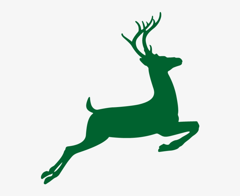 820x670 White Tailed Deer Drawing Clip Art